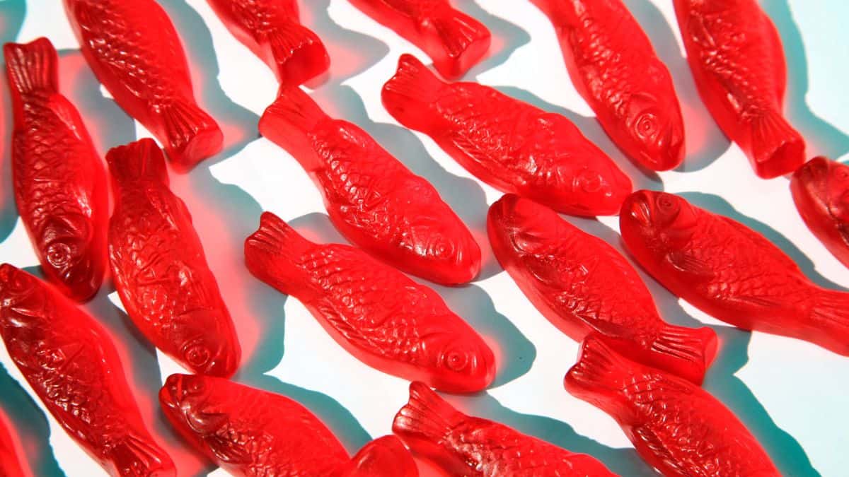 Swedish Fish