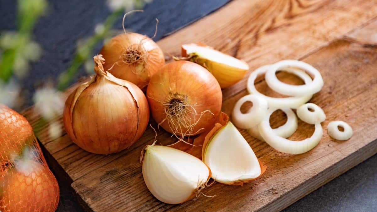 onion
