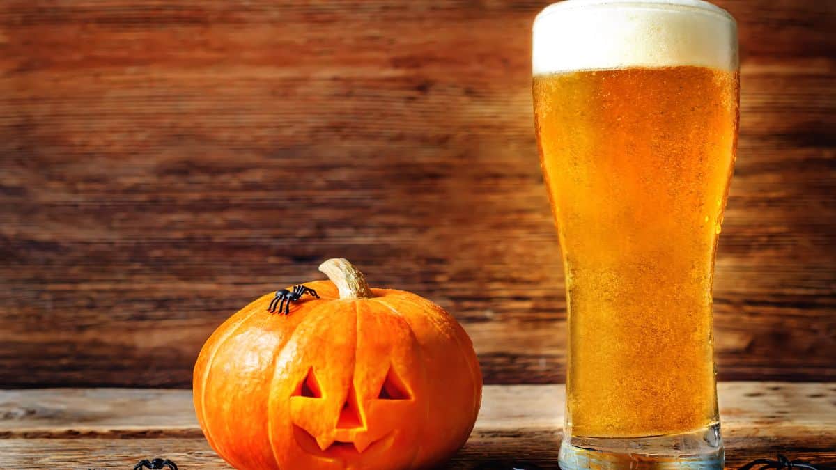 pumpkin beer