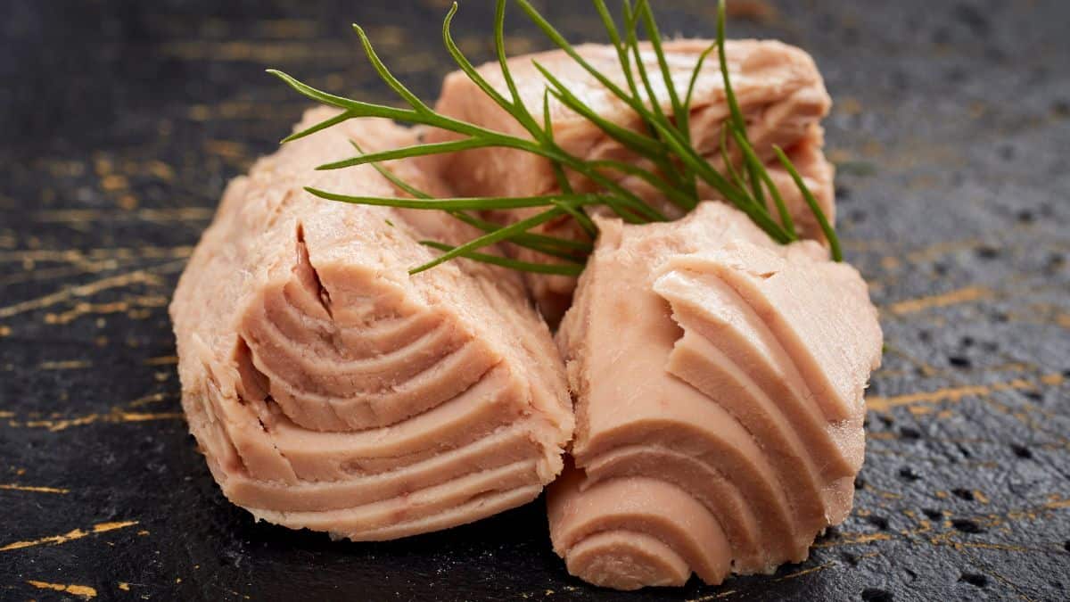 tuna