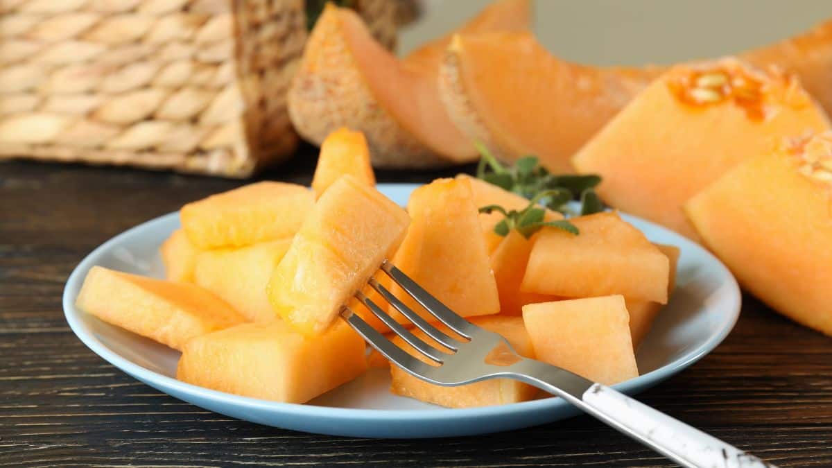 Cantaloupe