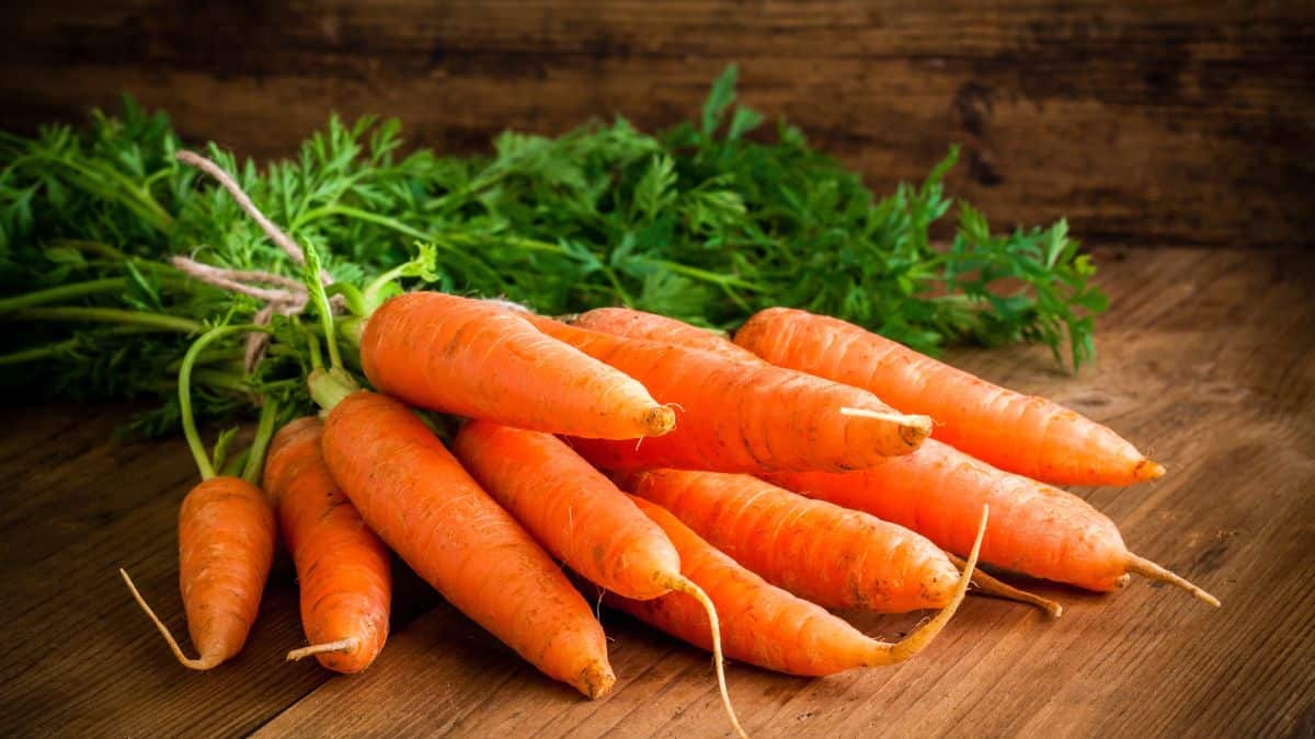 Carrots