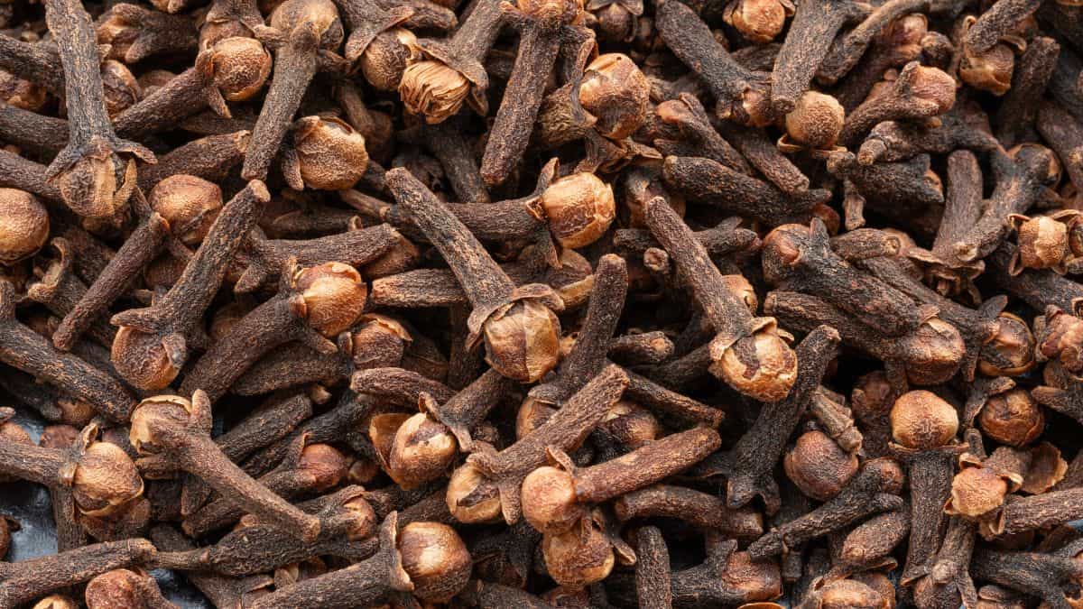 Cloves