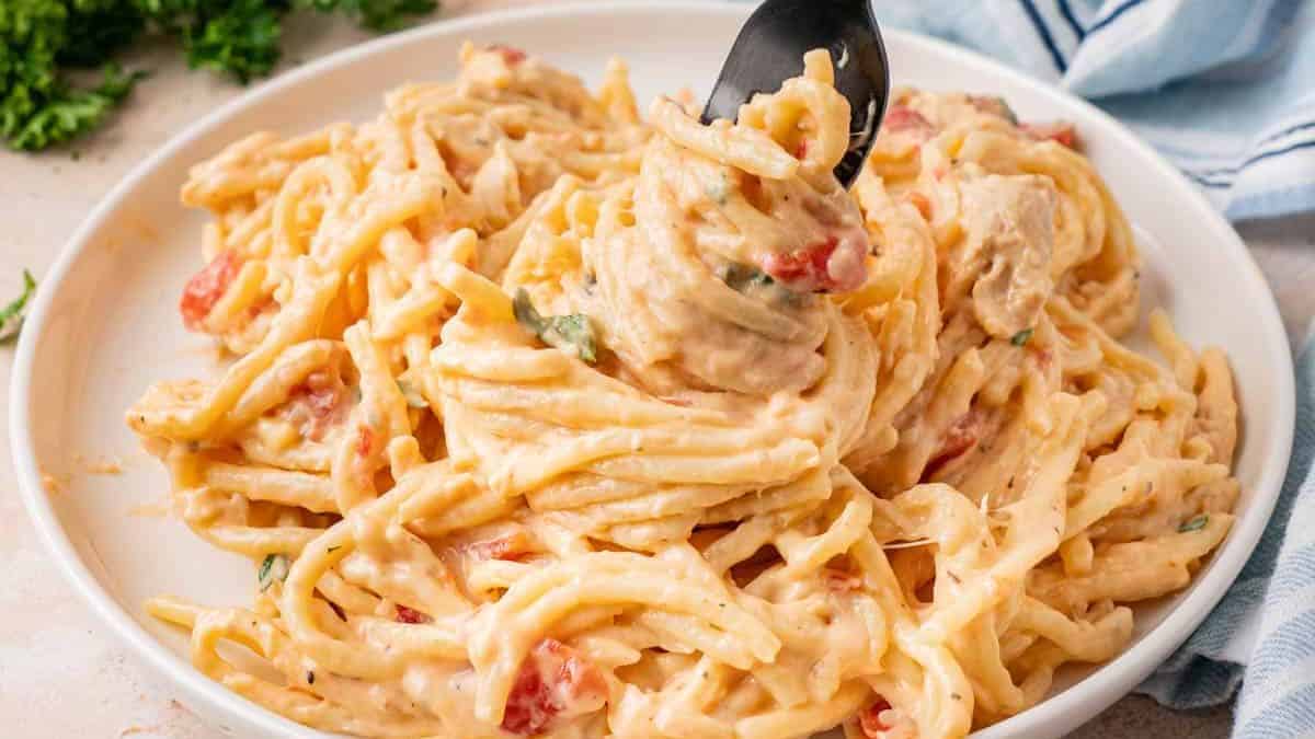 a plate of creamy spaghetti pasta with chicken and tomatoes