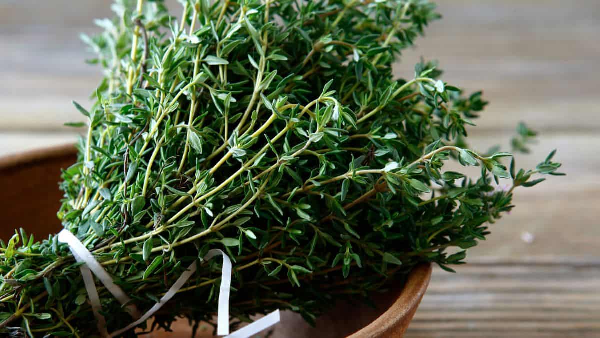 Fresh Thyme