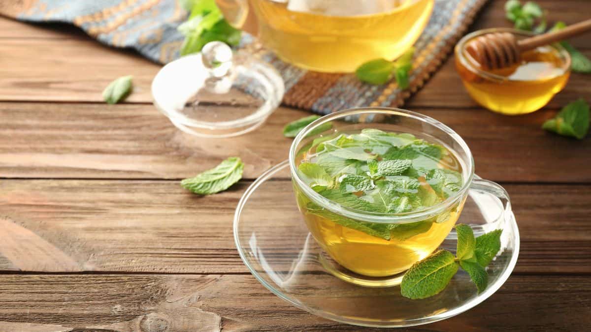 Lemon Balm Tea