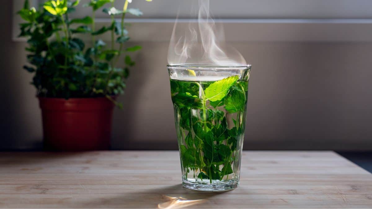 Peppermint Tea