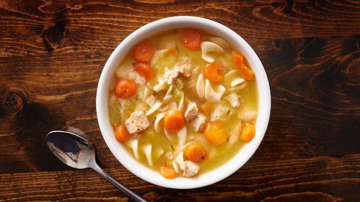 chicken noodle soup