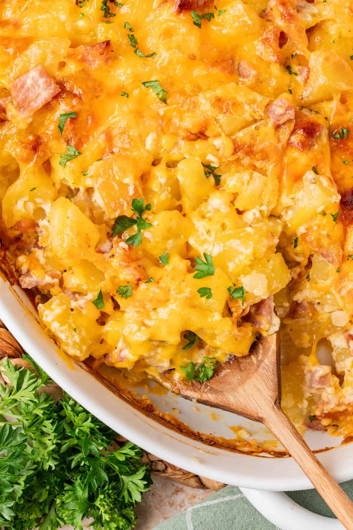 A close-up shot of a spoonful of the casserole 