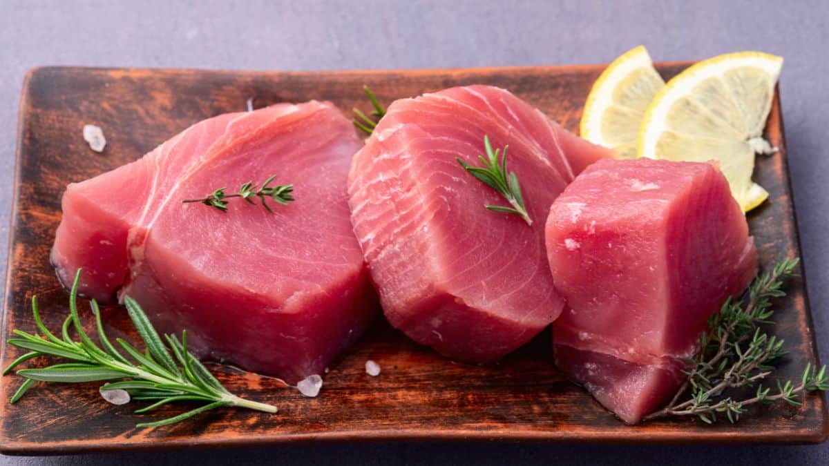tuna