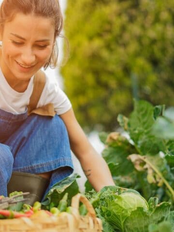 woman picking veggies