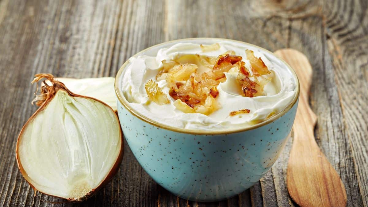 Caramelized Onion Dip