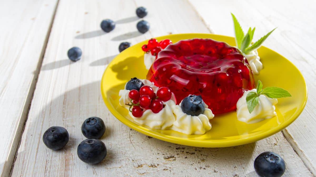 Cranberry Jello Mold