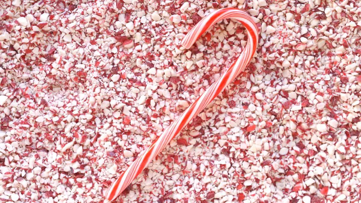 Crushed Peppermint candy cane