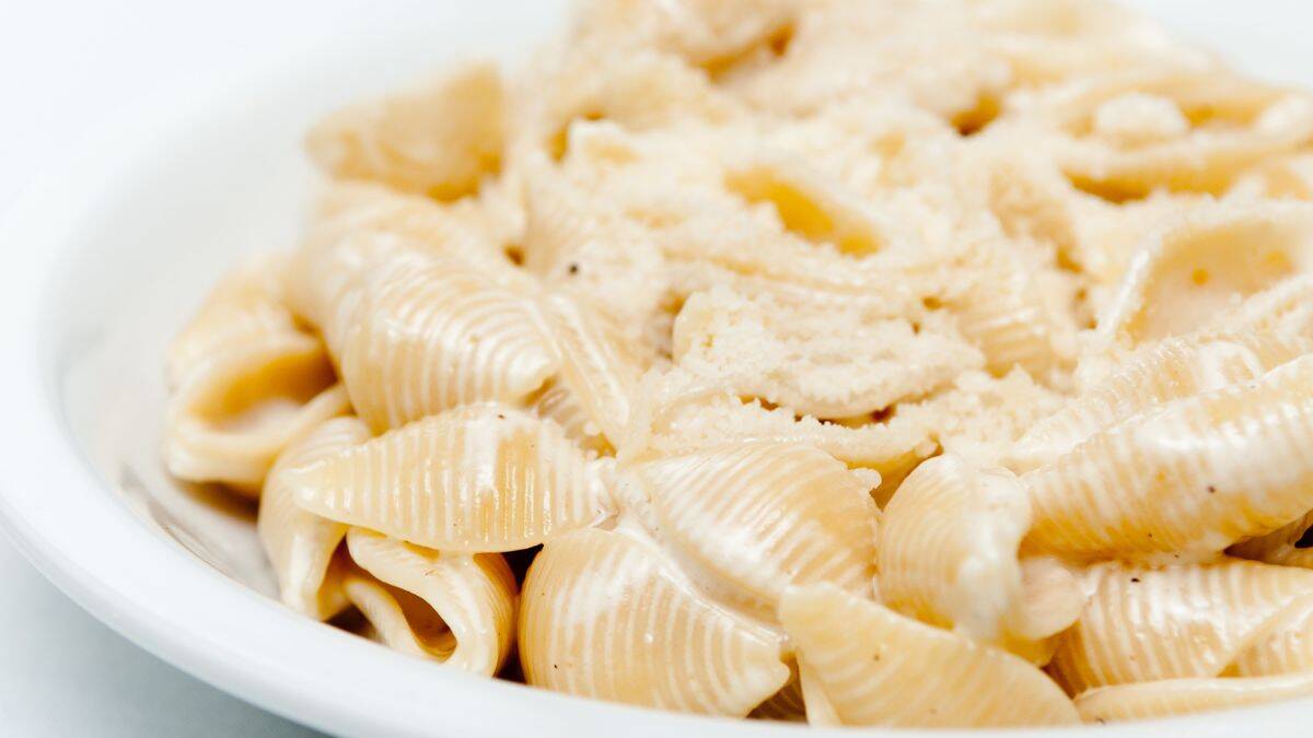 white shell mac and cheese