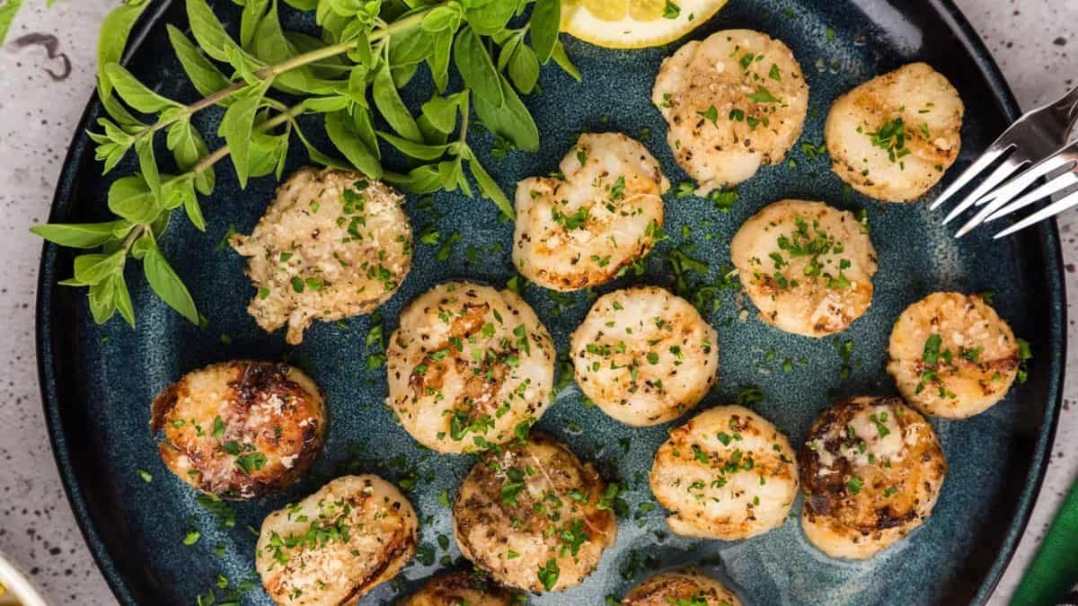 grilled scallops