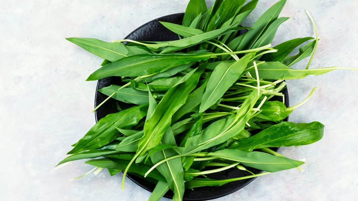 Ramps