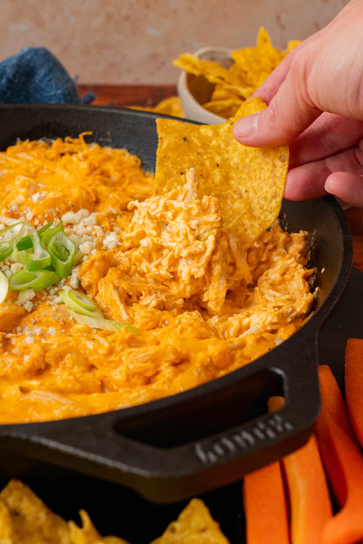 Tortilla chip dipped in the buffalo chicken dip