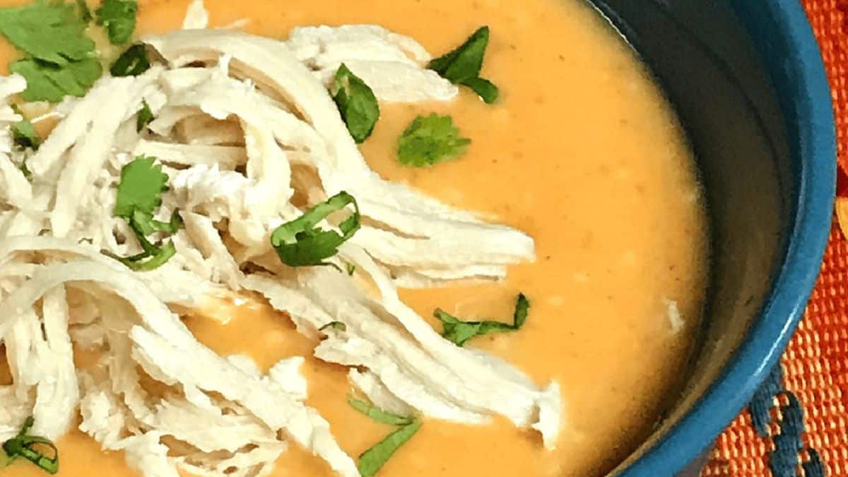 A close-up shot of bowl filled with creamy chicken enchilada.
