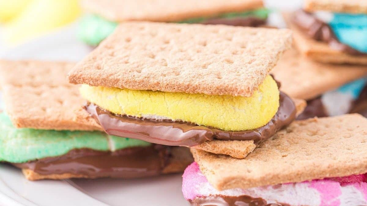 A close-up shot of smores sitting on a plate. 