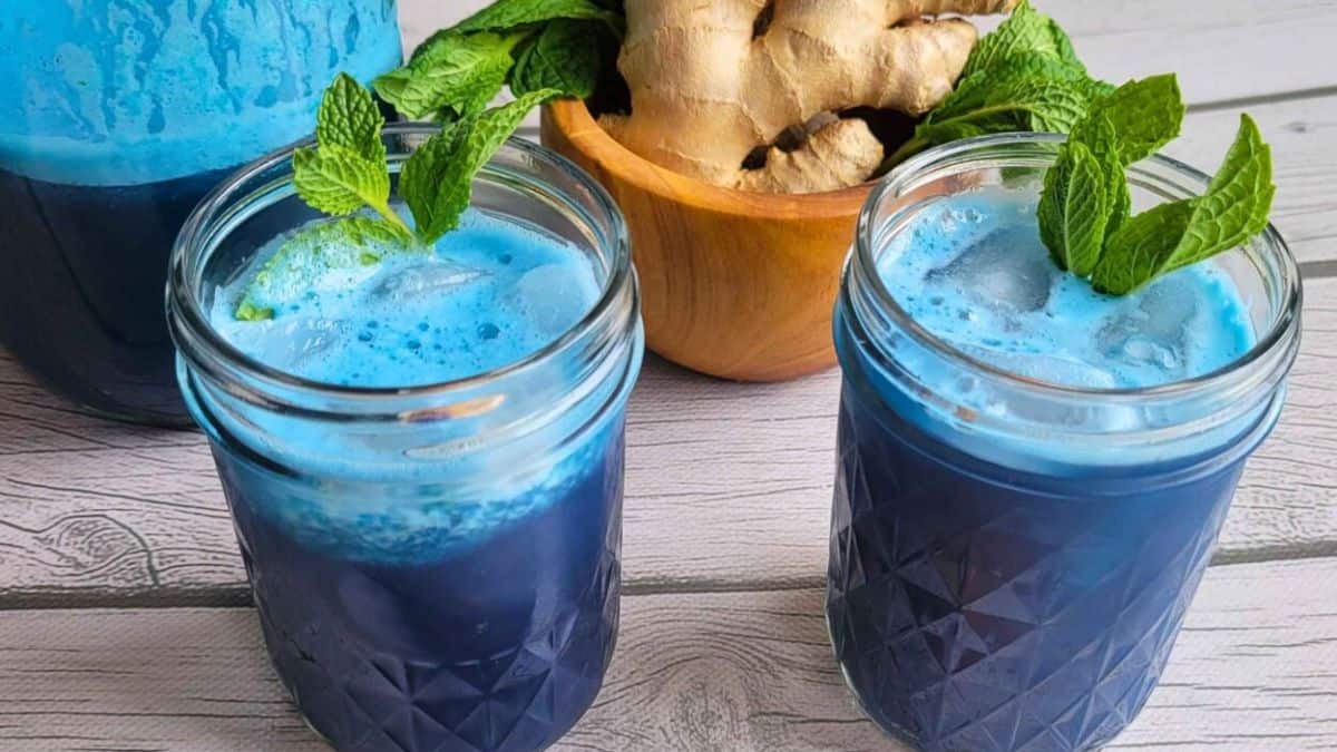 Two mason jars filled with blue spirulina juice and a few pieces of mint leaves on top.