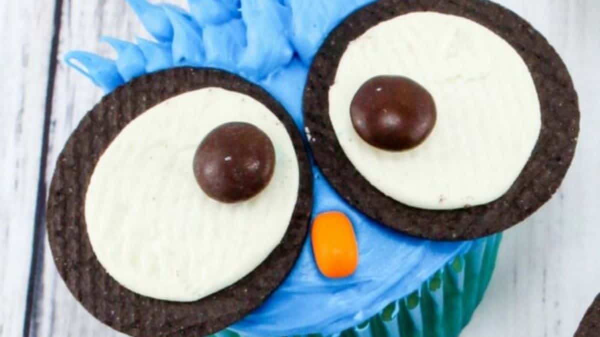 A close-up shot of a owl themed cupcake.