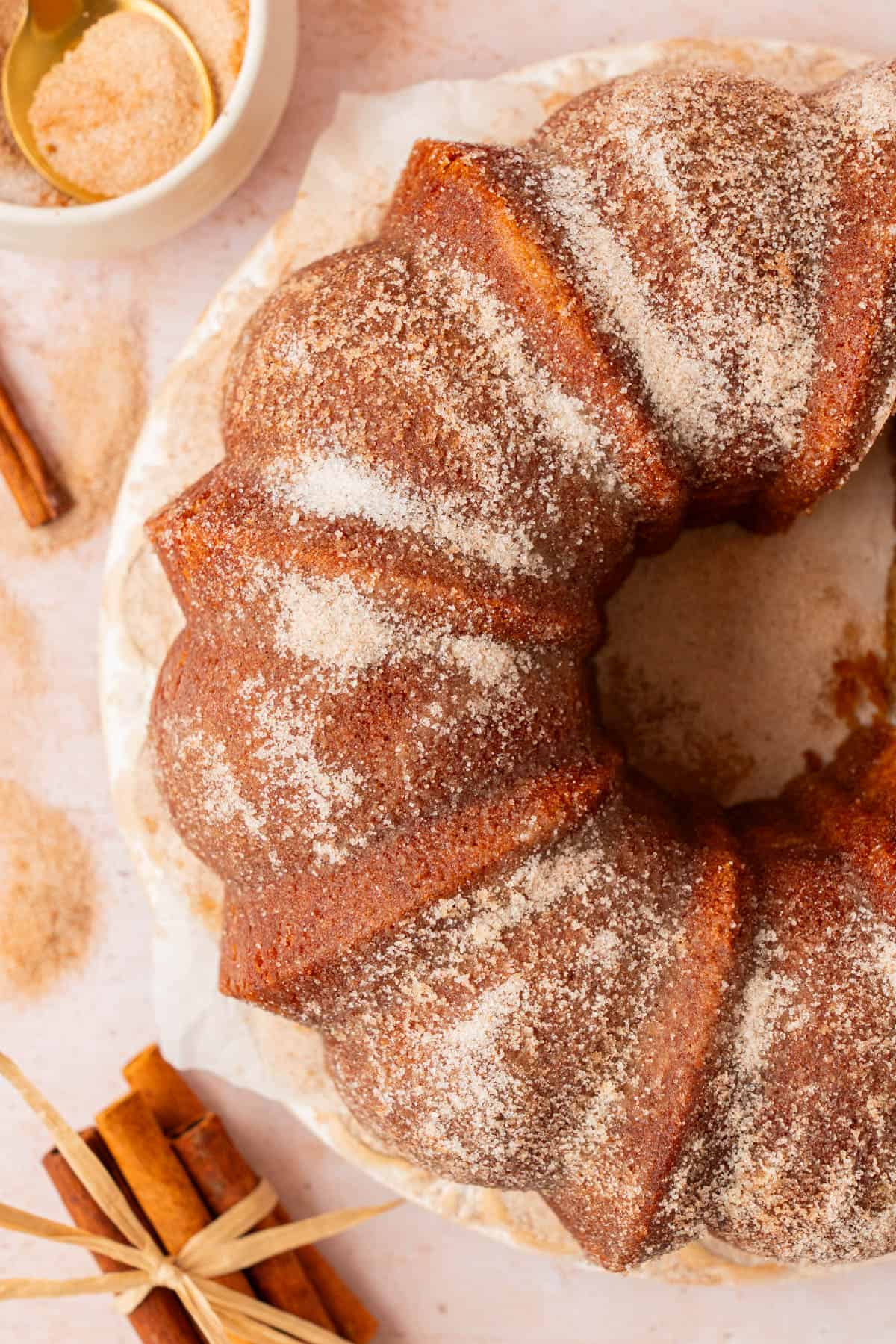 Overhead close-up of an apple cider donut bundt cake coated in cinnamon sugar, with a bowl of cinnamon sugar and cinnamon sticks