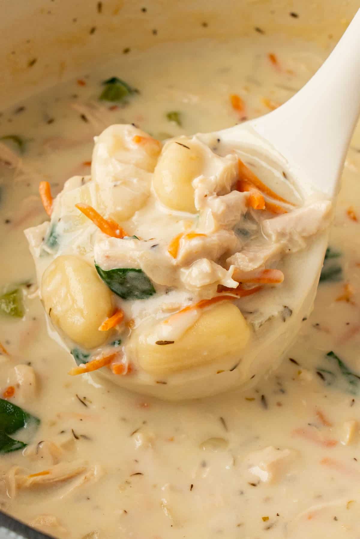 A ladle full of creamy chicken gnocchi soup. 