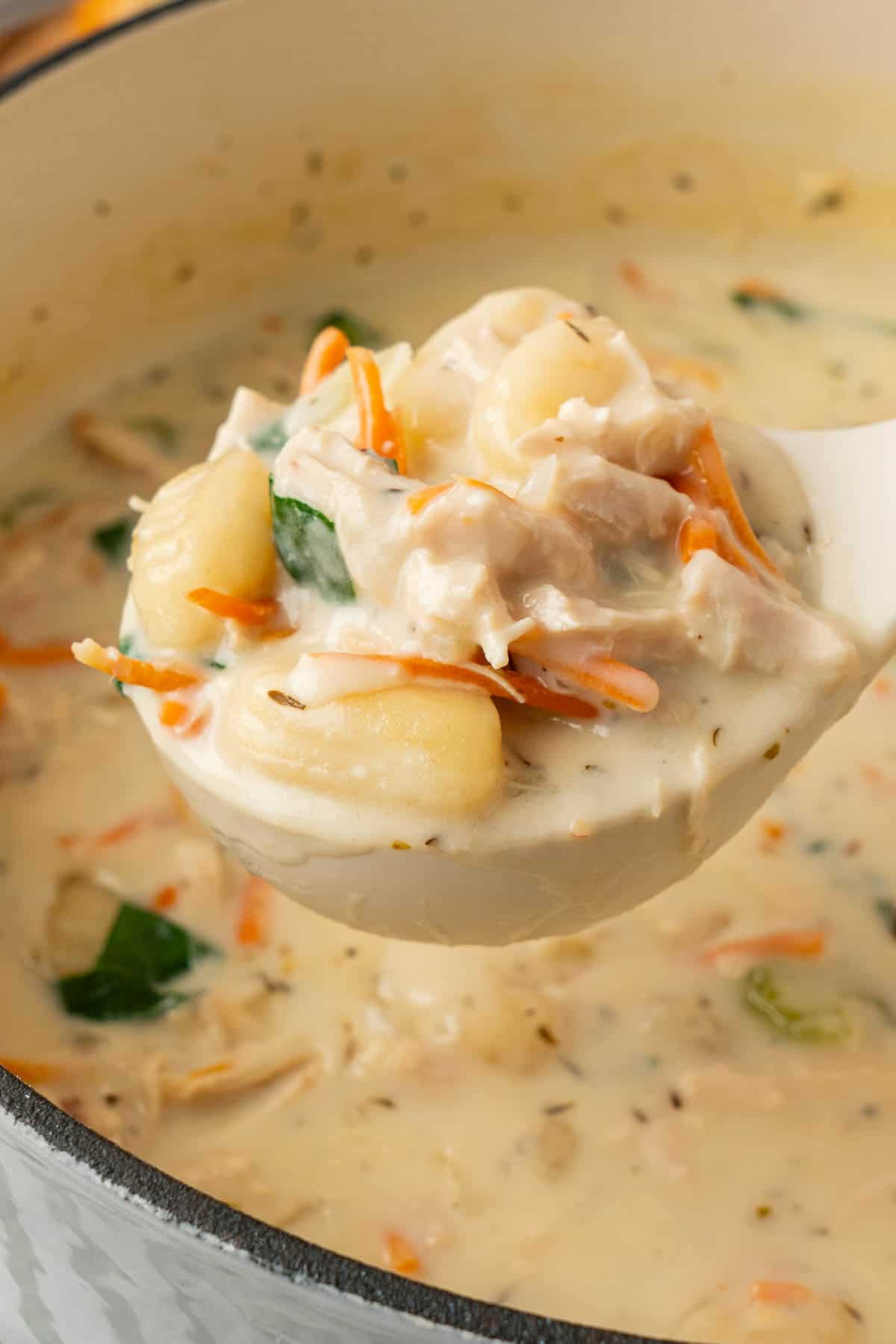 A ladle holding a portion of chicken gnocchi soup. 